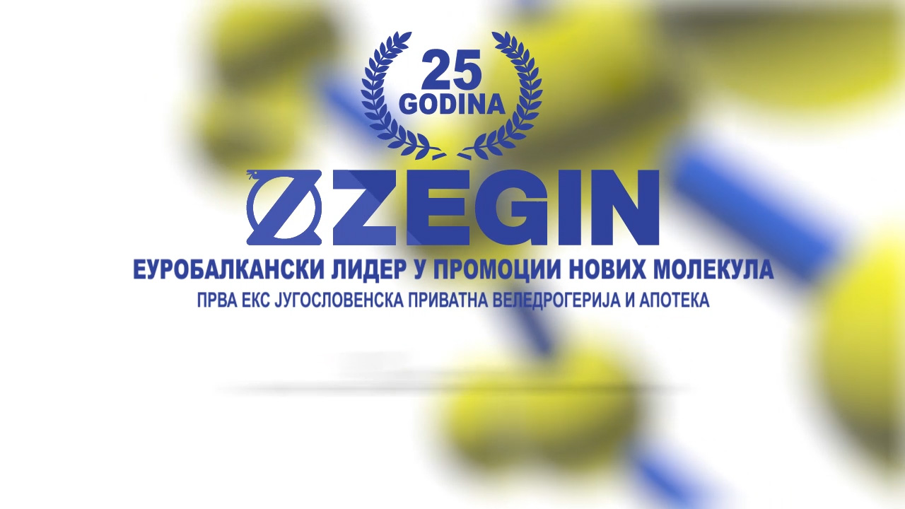 ZEGIN – 25 Years